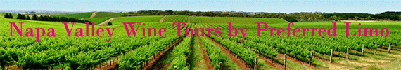 Sonona Valley Limousine Service